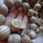 沉香手串佛珠手链/海南高级虫漏/水九沉香**保证